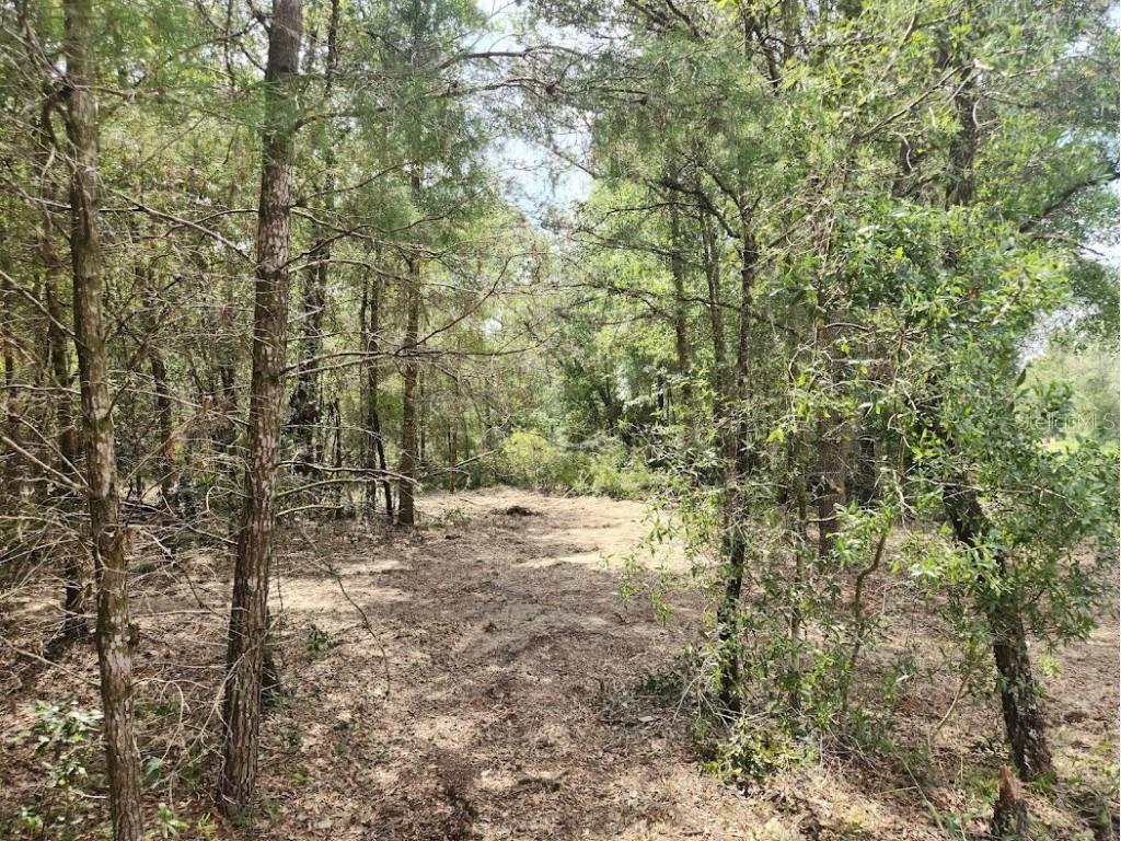 LOT 12 SW 96th Lane Dunnellon FL 34432 OM708221 image12