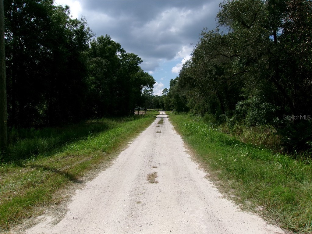 LOT 12 SW 96th Lane Dunnellon FL 34432 OM708221 image14