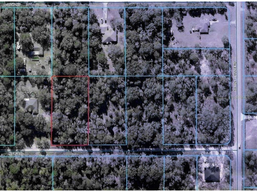 LOT 12 SW 96th Lane Dunnellon FL 34432 OM708221 image15
