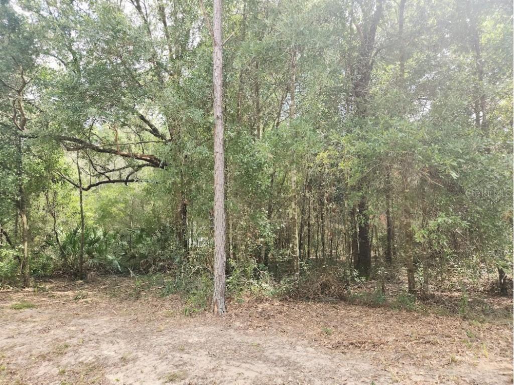 LOT 12 SW 96th Lane Dunnellon FL 34432 OM708221 image4