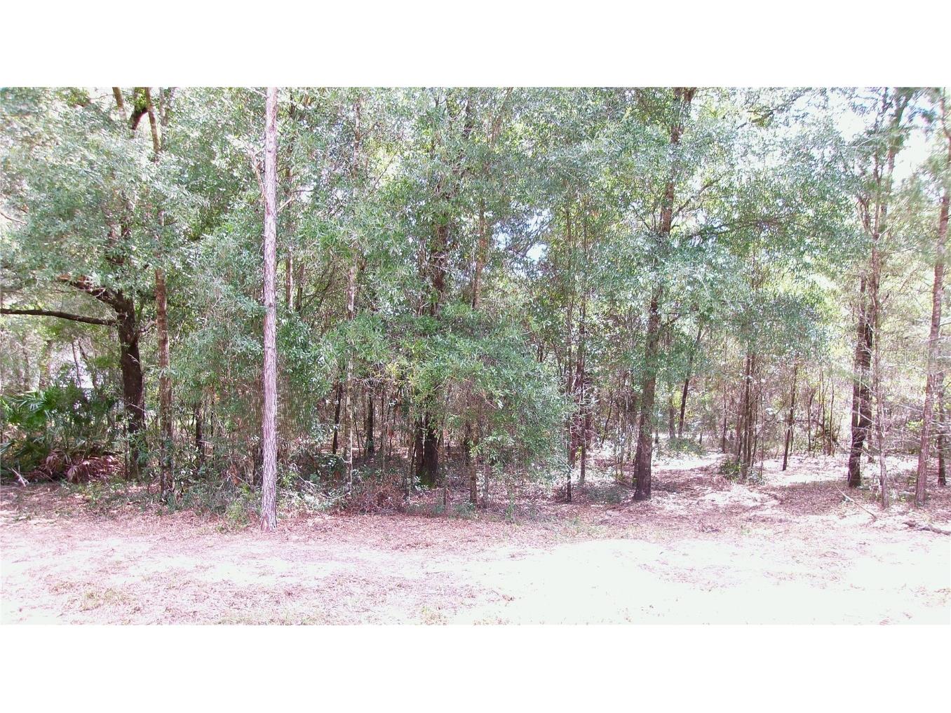 LOT 12 SW 96th Lane Dunnellon FL 34432 OM708221 image7
