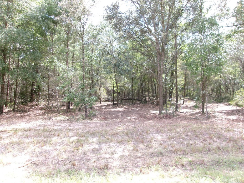 LOT 12 SW 96th Lane Dunnellon FL 34432 OM708221 image9