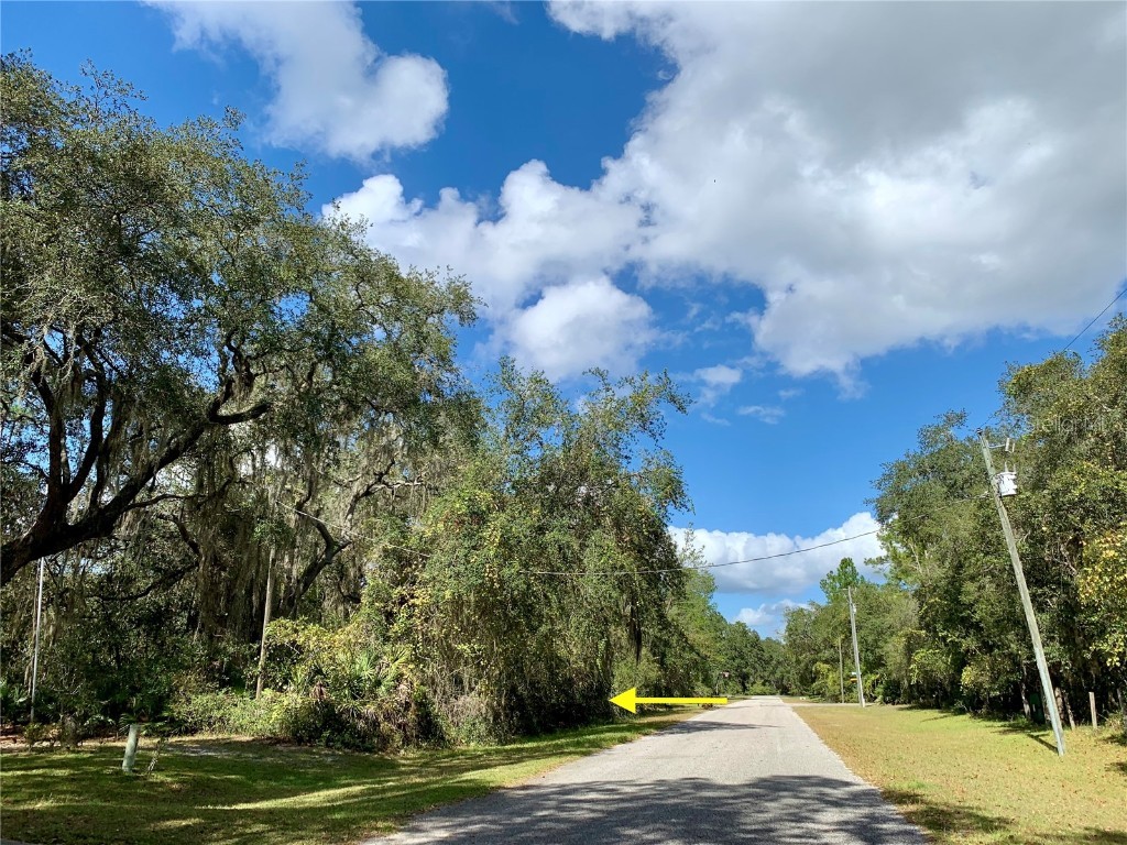 LOT 13 Apricot Avenue Eustis FL 32736 - LAKE NORRIS G5079059 image1