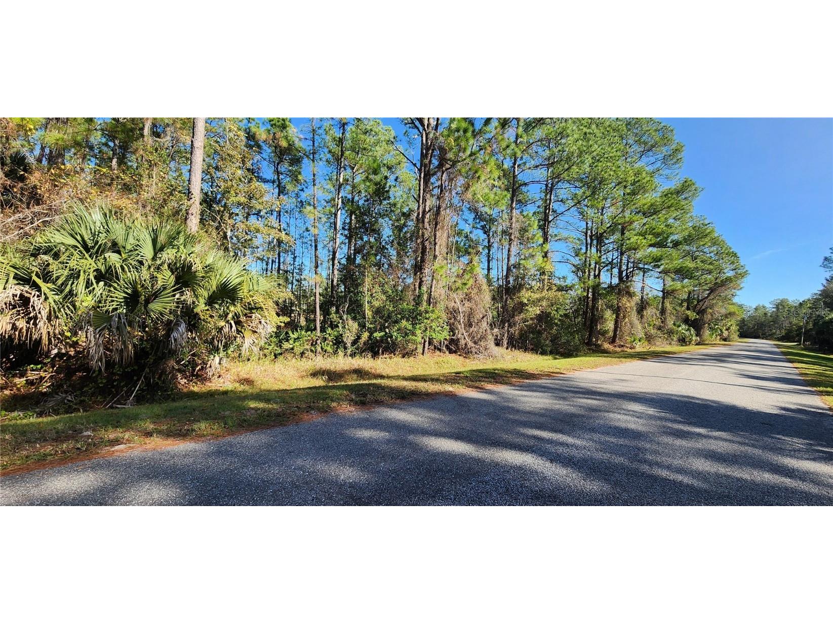 LOT 13 Apricot Avenue Eustis FL 32736 - LAKE NORRIS O6162892 image1