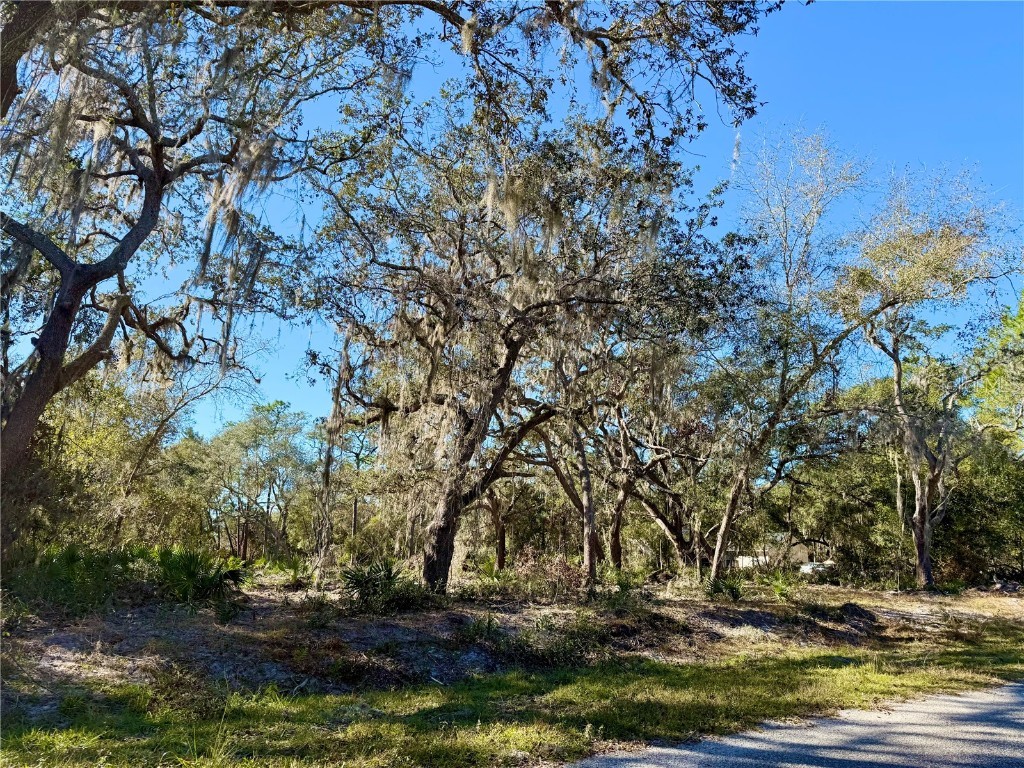 LOT 13 Apricot Avenue Eustis FL 32736 - LAKE NORRIS G5090981 image1