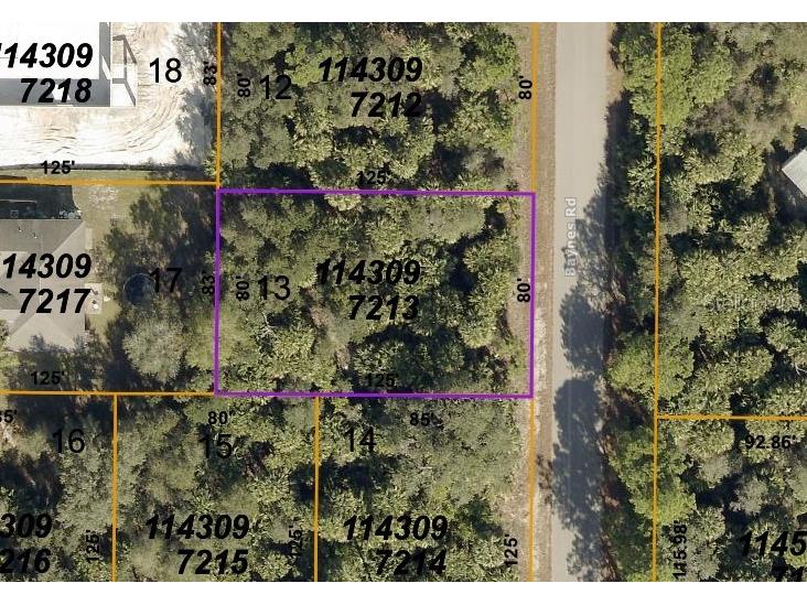 LOT 13 Baynes Road North Port FL 34288 N6126954 image1