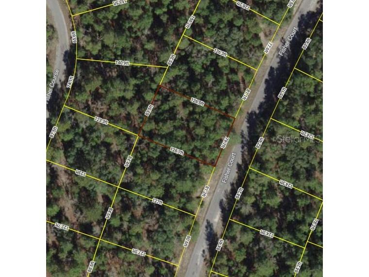 LOT 13 Fisher Court Ocklawaha FL 32179 OM696178 image1