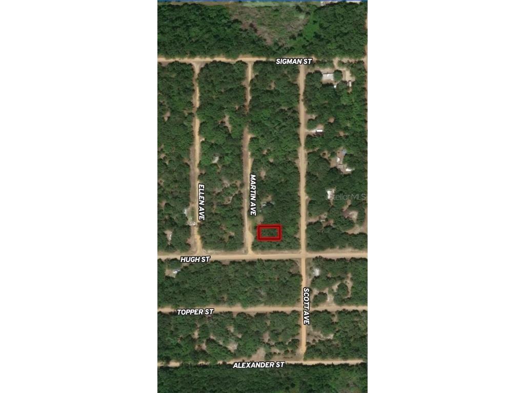 LOT 13 Martin Avenue Interlachen FL 32148 OM710436 image1