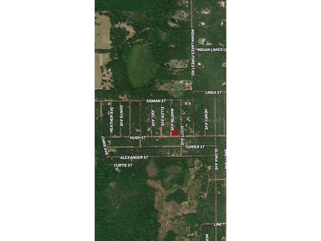 LOT 13 Martin Avenue Interlachen FL 32148 OM710436 image2