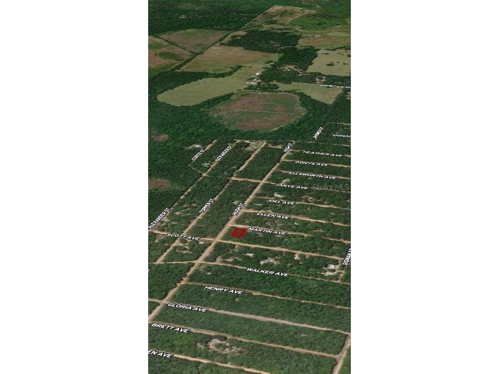 LOT 13 Martin Avenue Interlachen FL 32148 OM710436 image3