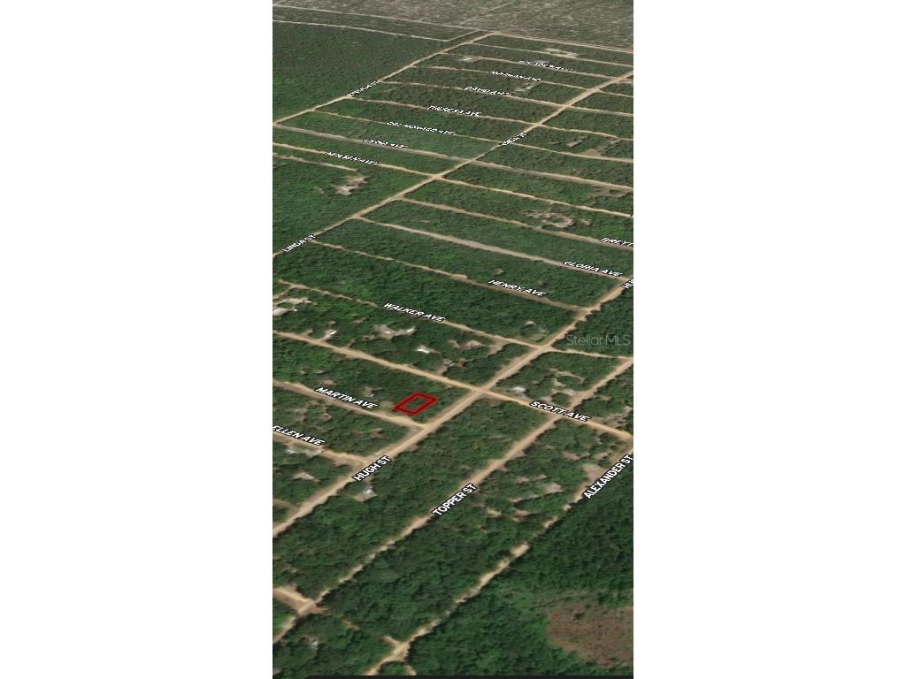 LOT 13 Martin Avenue Interlachen FL 32148 OM710436 image4