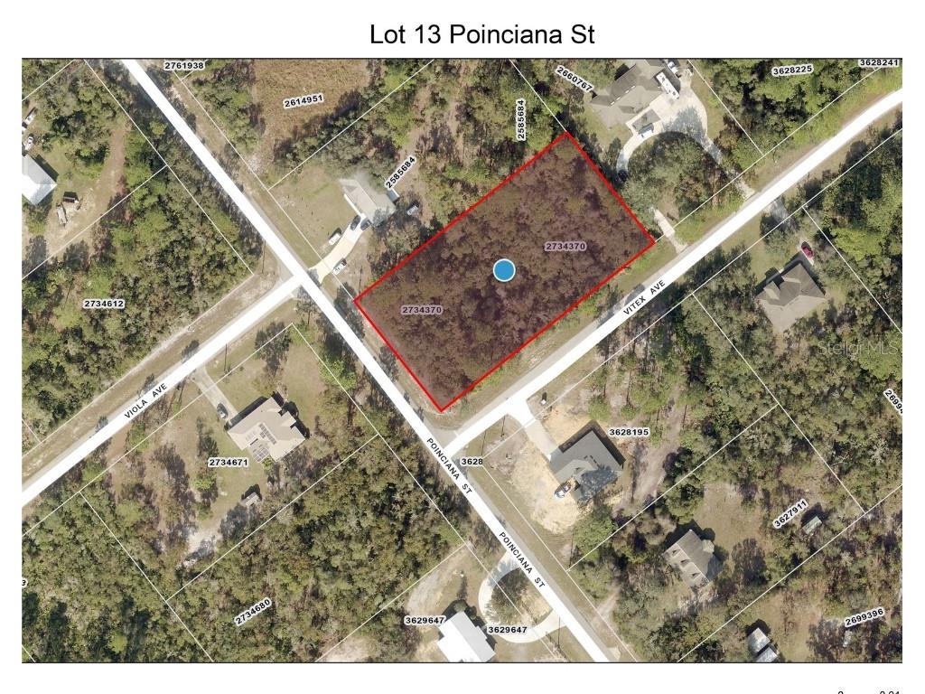 LOT 13 Poinciana Street Eustis FL 32736 - LAKE NORRIS O6305785 image1