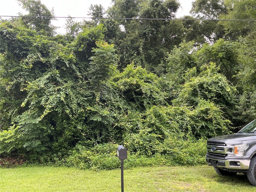 LOT 13 SE 43rd Terrace Summerfield FL 34491 OM682840 image1