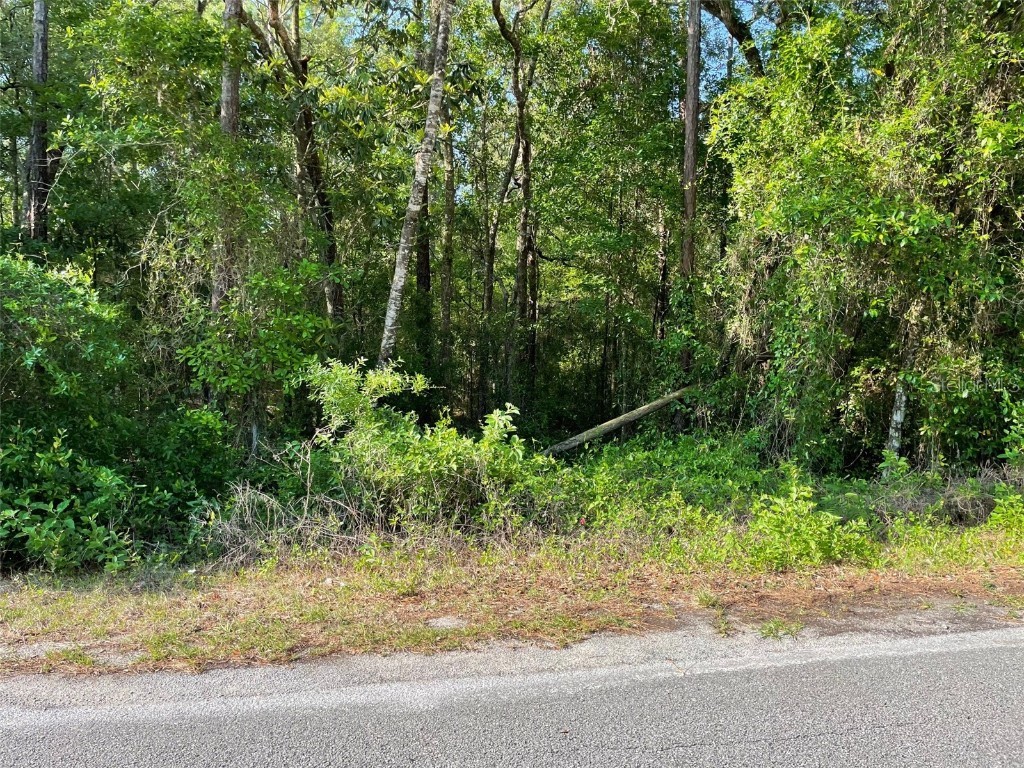 LOT 13 SW Nautilus Boulevard Dunnellon FL 34431 OM701164 image1