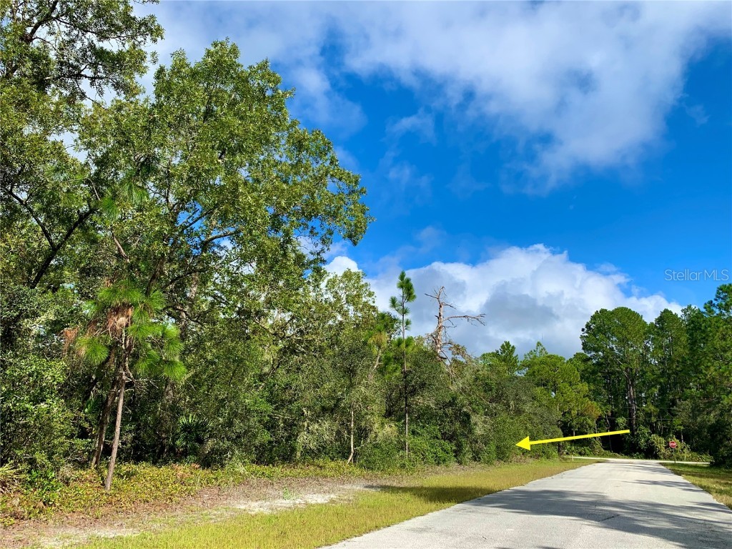 LOT 13 Vitex Court Eustis FL 32726 - LAKE NORRIS G5074349 image1