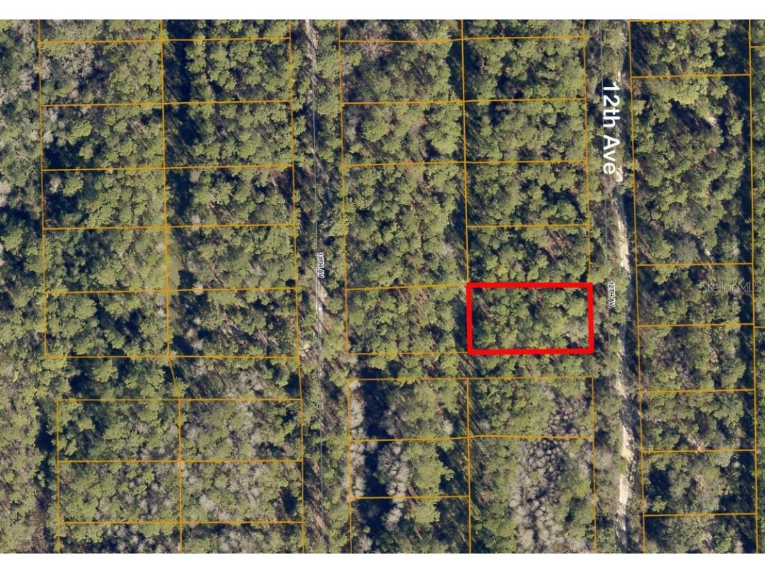 LOT 139 12th Avenue Deland FL 32724 A4571040 image1