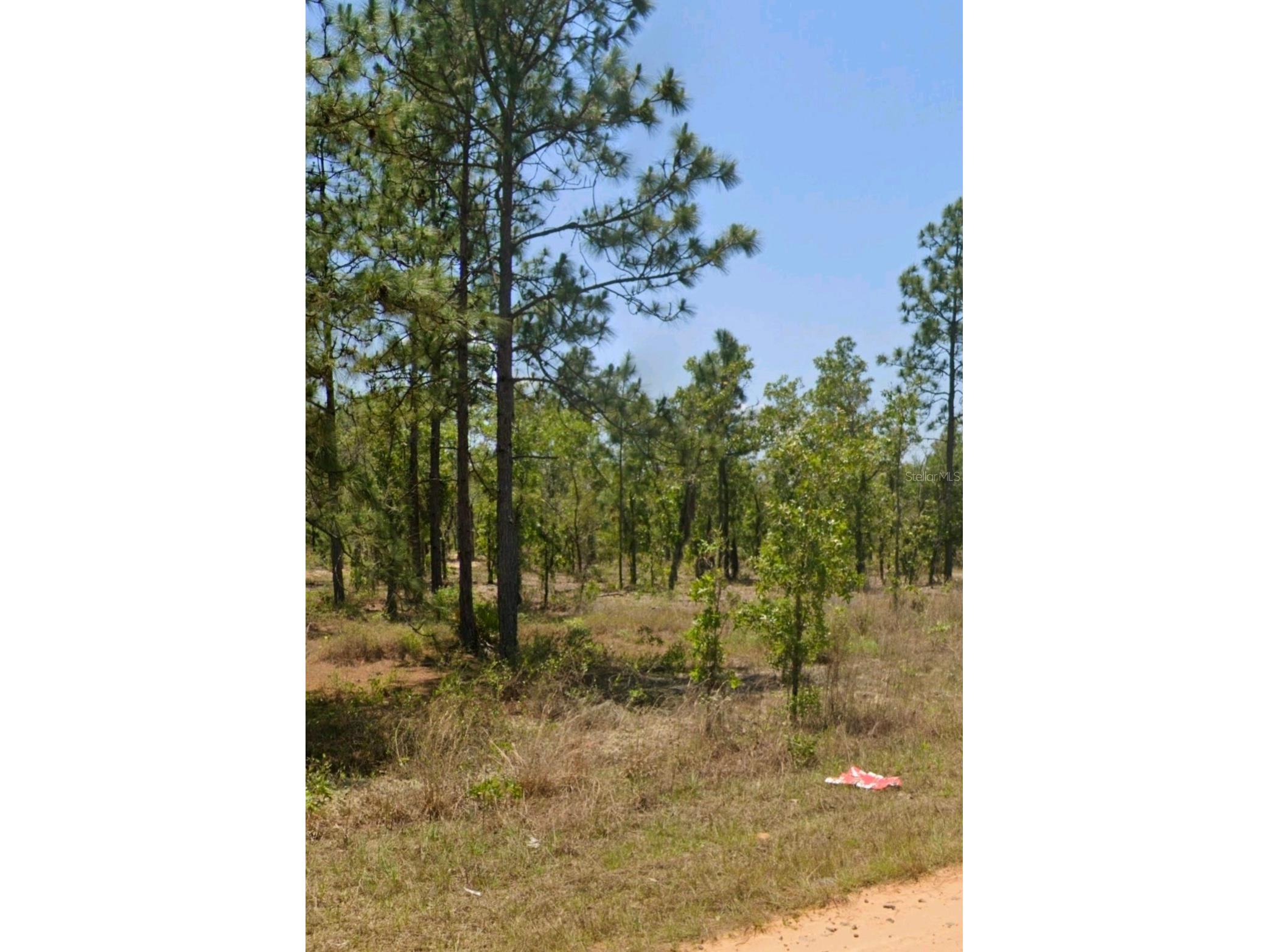 LOT 14 15 16 AND 17 Idaho Avenue Hawthorne FL 32640 OM712102 image1