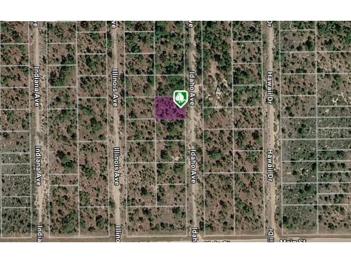 LOT 14 15 16 AND 17 Idaho Avenue Hawthorne FL 32640 OM712102 image6