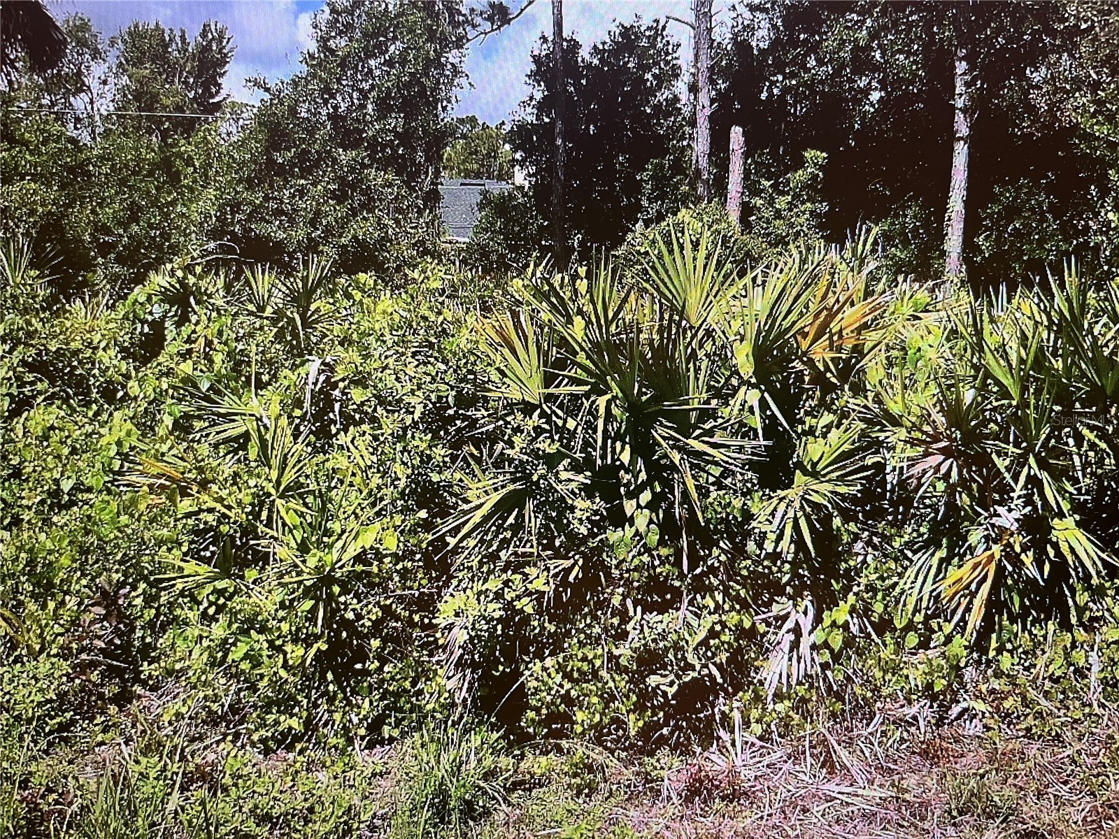 LOT 14&15 Paola Street North Port FL 34287 N6144885 image2