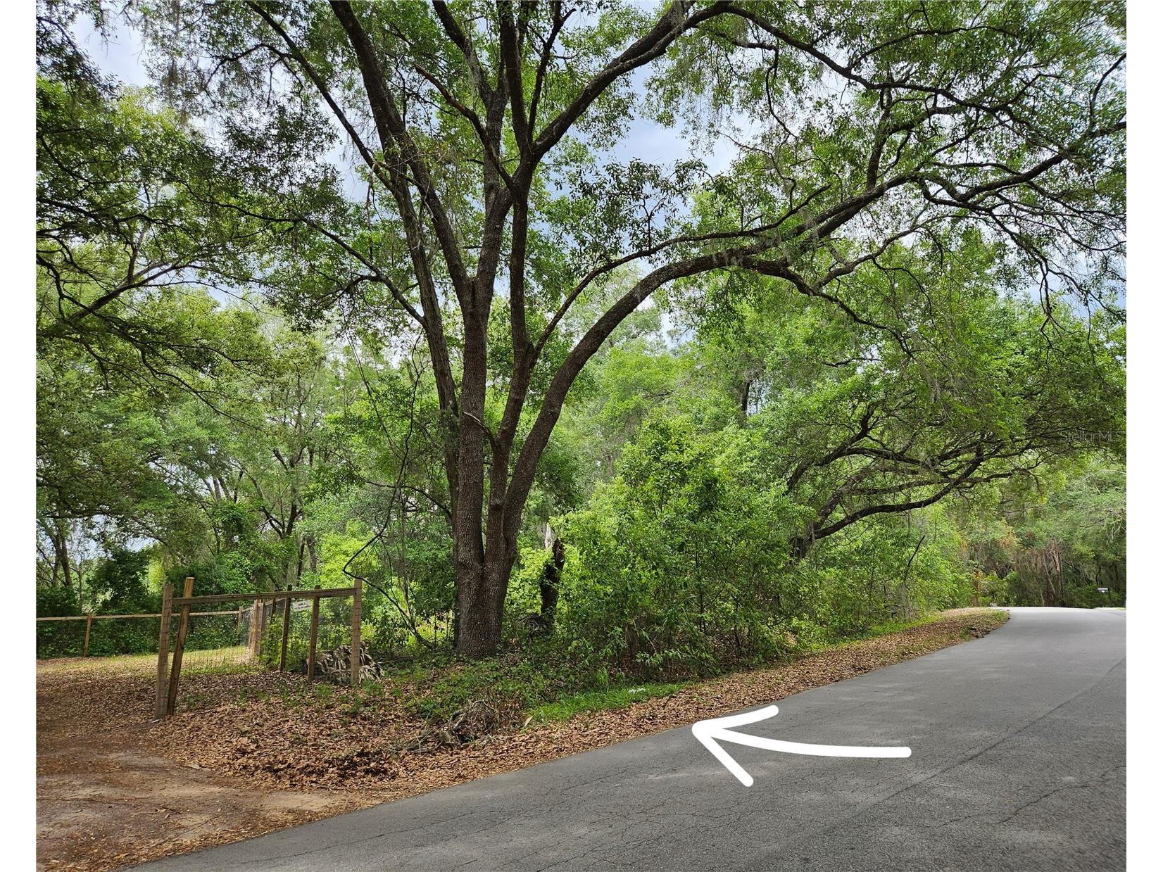 LOT 14 Locust Run Course Ocala FL 34472 OM721257 image2