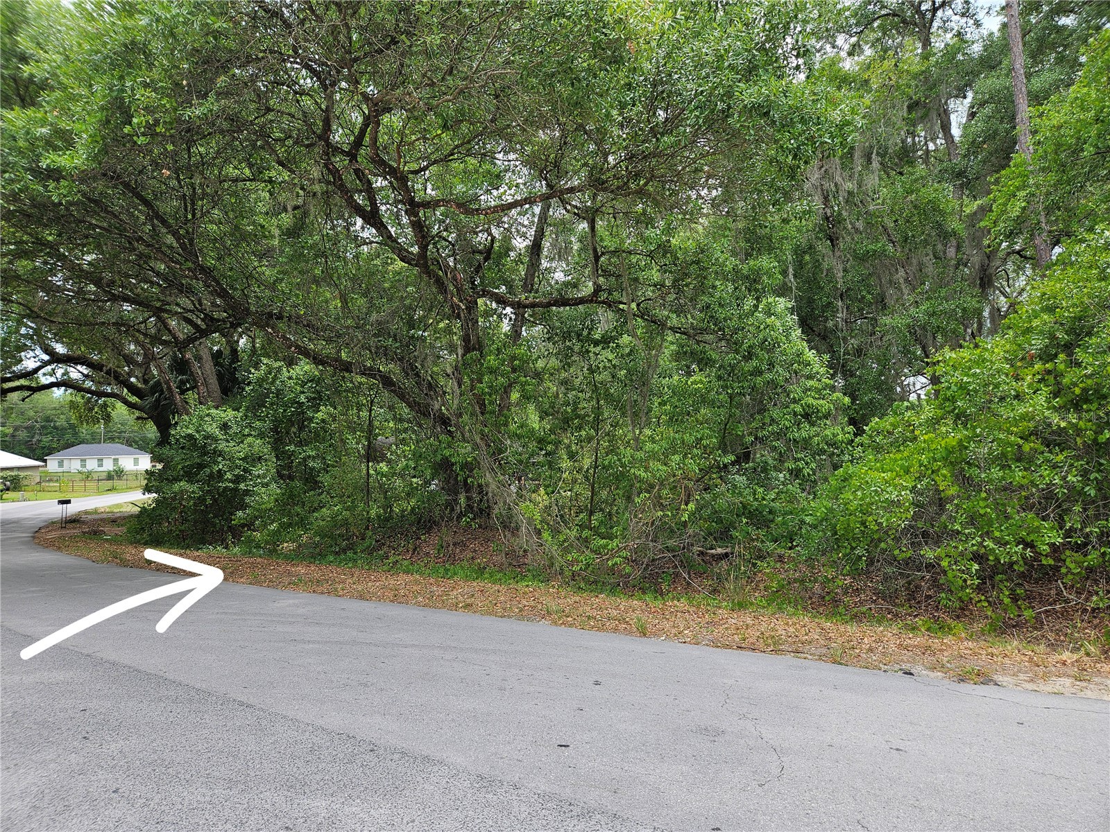 LOT 14 Locust Run Course Ocala FL 34472 OM721257 image3
