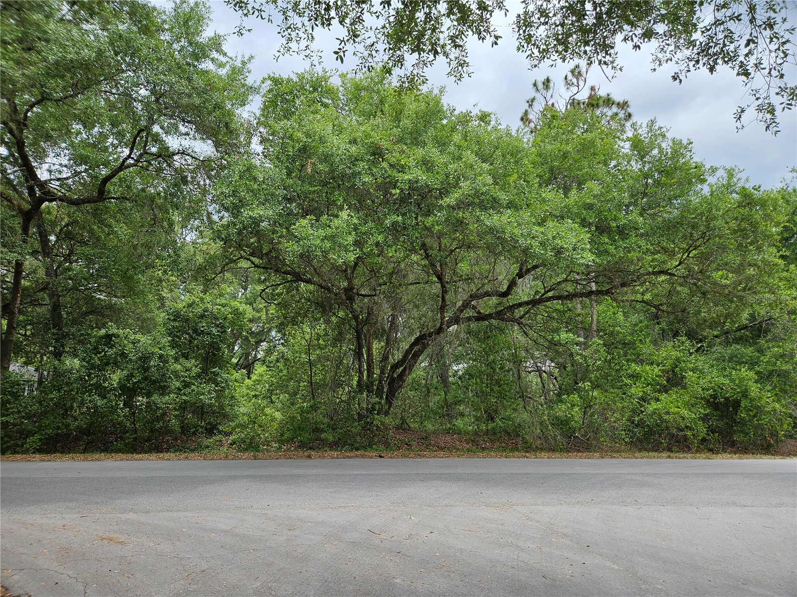 LOT 14 Locust Run Course Ocala FL 34472 OM721257 image4