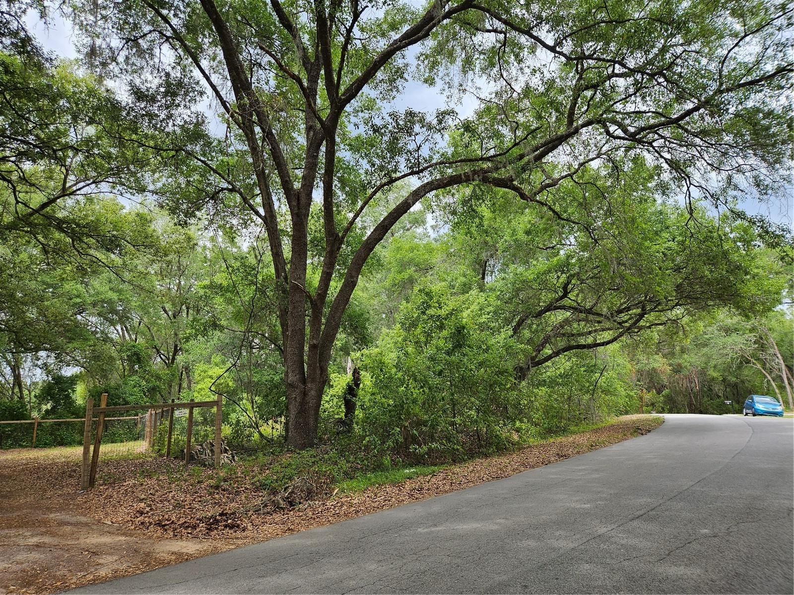 LOT 14 Locust Run Course Ocala FL 34472 OM721257 image5