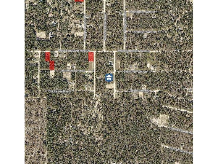 LOT 14 Magdalena Road Weeki Wachee FL 34614 W7879475 image3