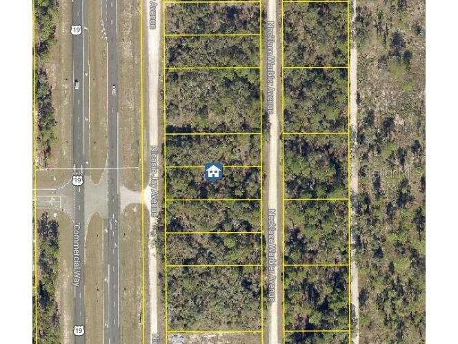 LOT 14 Necklace Warbler Weeki Wachee FL 34614 W7881613 image1