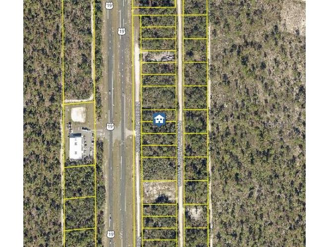 LOT 14 Necklace Warbler Weeki Wachee FL 34614 W7881613 image2
