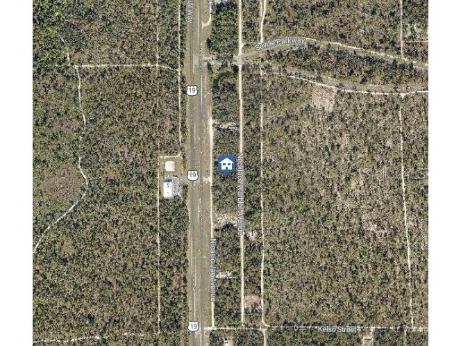 LOT 14 Necklace Warbler Weeki Wachee FL 34614 W7881613 image3