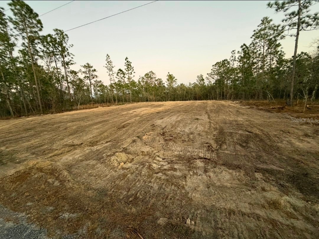 LOT 14 SE 129th Court Dunnellon FL 34431 OM722224 image1