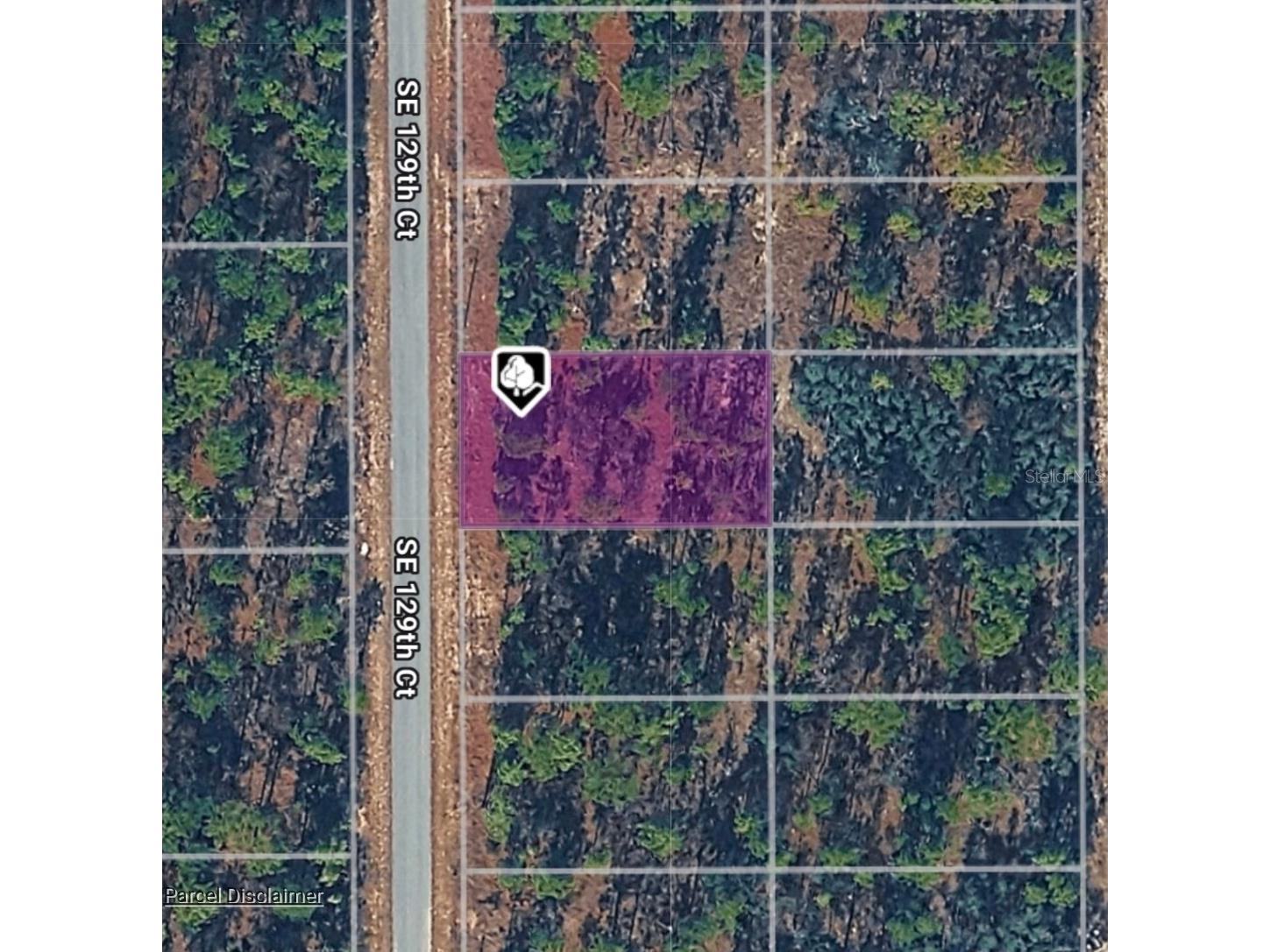 LOT 14 SE 129th Court Dunnellon FL 34431 OM722224 image3