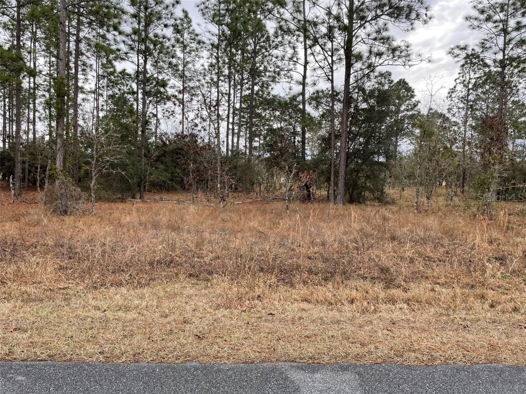 LOT 14 SE 136 Terrace Dunnellon FL 34431 OM703921 image1