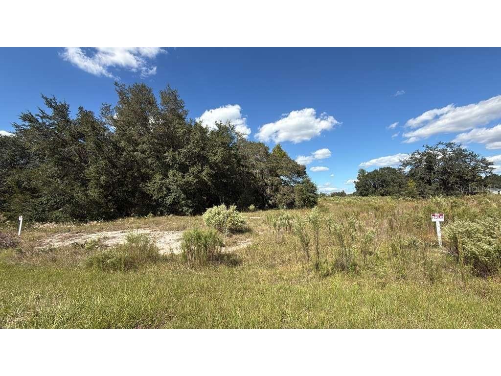 LOT 15 & 16 Sw 105th Pl Dunnellon FL 34432 G5104246 image1