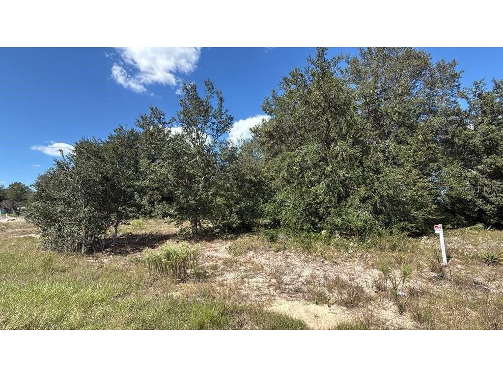 LOT 15 & 16 Sw 105th Pl Dunnellon FL 34432 G5104246 image3