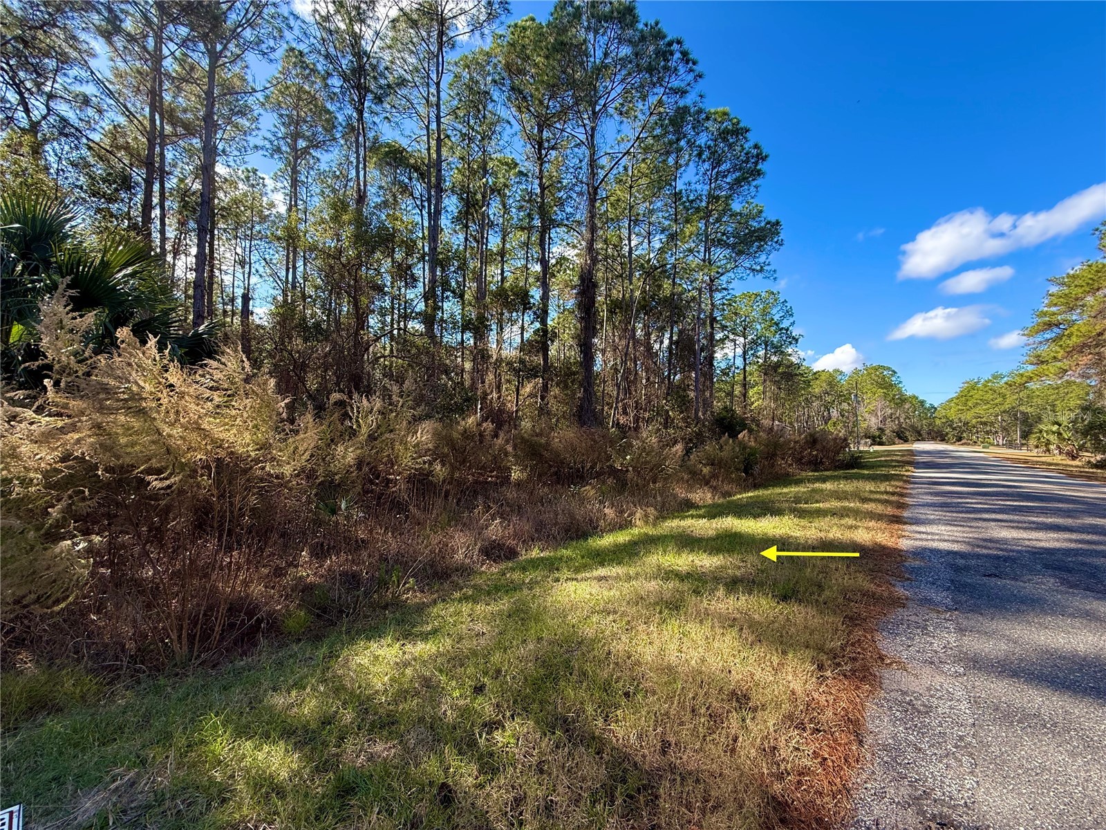 LOT 15 Apricot Avenue Eustis FL 32736 - LAKE NORRIS & LAKE MARION G5106460 image1