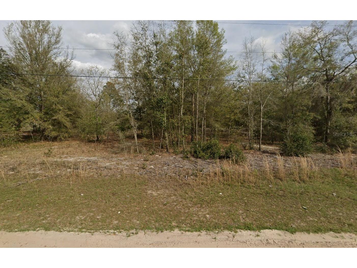 LOT 15 Marion Avenue Interlachen FL 32148 K4903419 image1