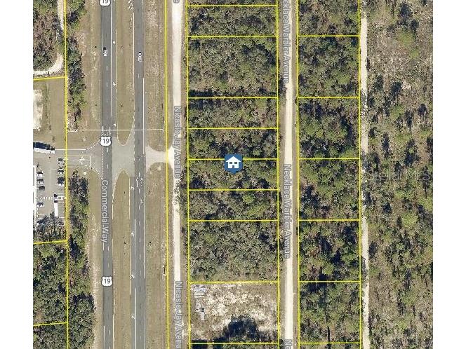 LOT 15 Nicasio Jay Avenue Weeki Wachee FL 34614 W7881616 image1