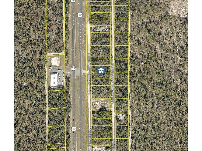 LOT 15 Nicasio Jay Avenue Weeki Wachee FL 34614 W7881616 image2