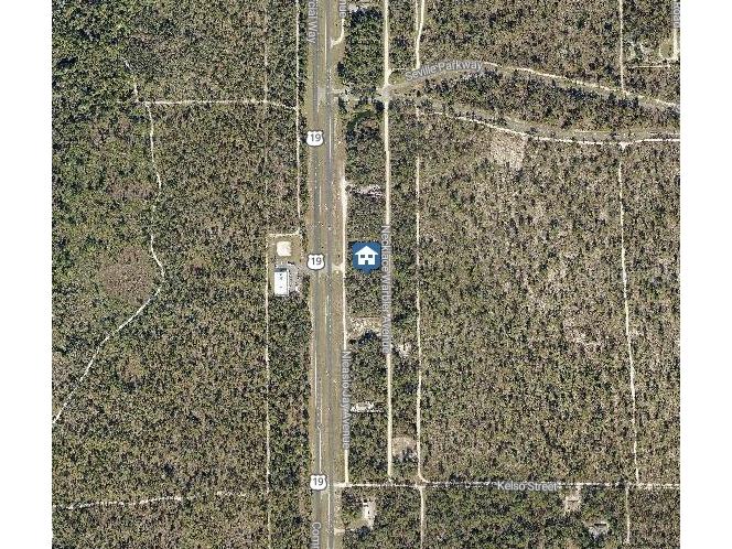 LOT 15 Nicasio Jay Avenue Weeki Wachee FL 34614 W7881616 image3