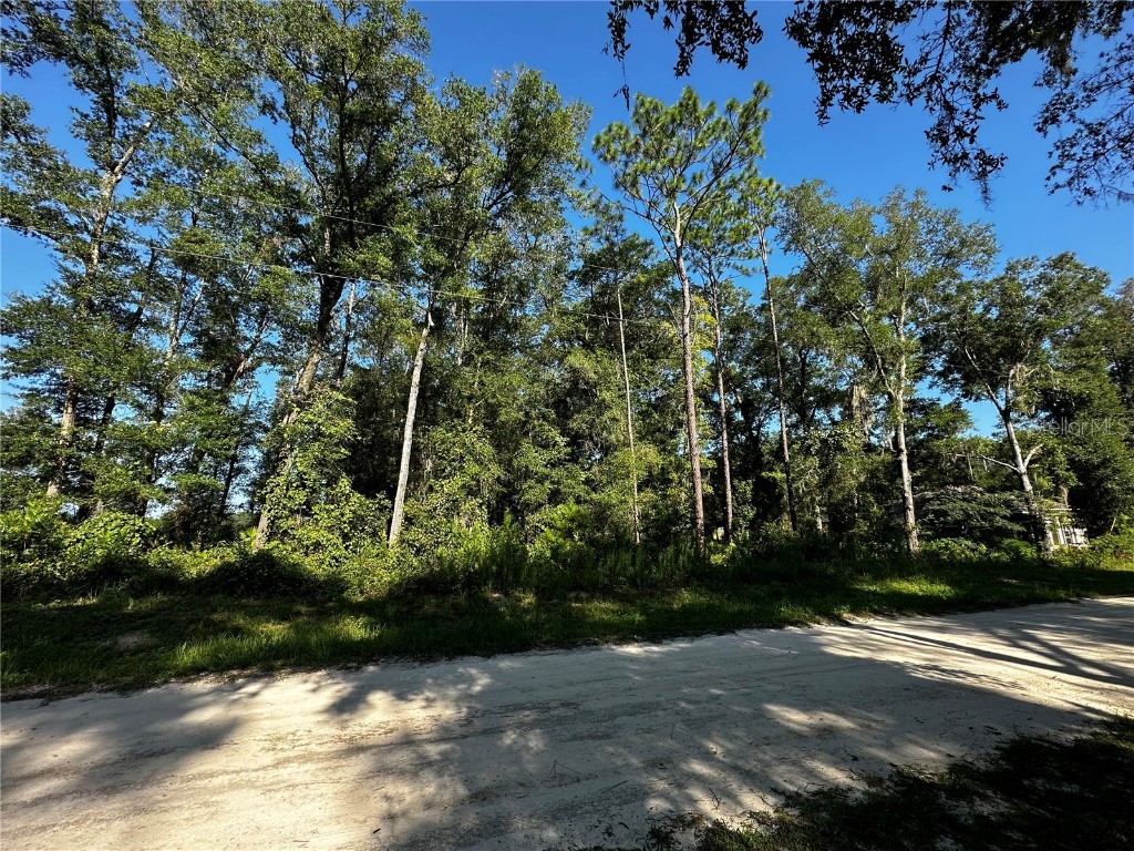 LOT 15 SW 129th Court Ocala FL 34481 OM661332 image1