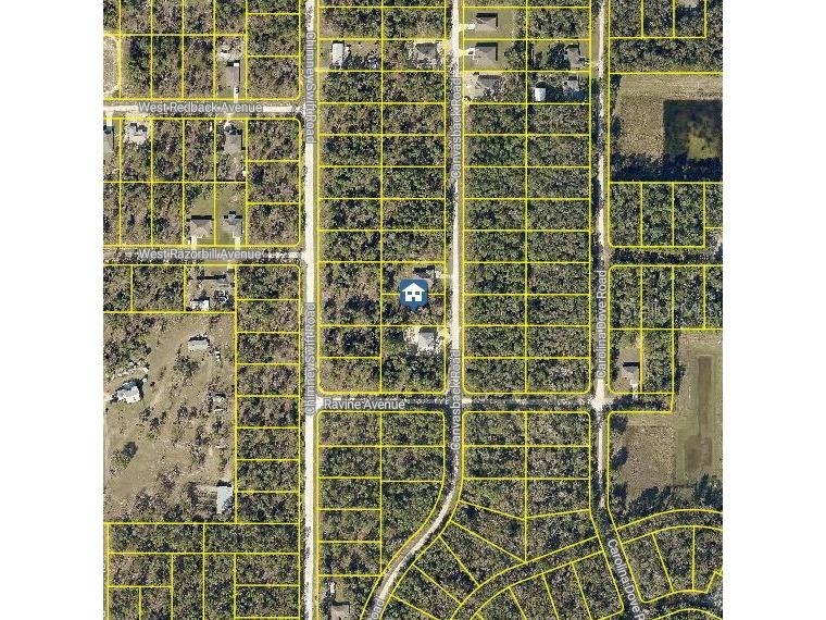 LOT 16 Canvasback Road Weeki Wachee FL 34614 W7883253 image2