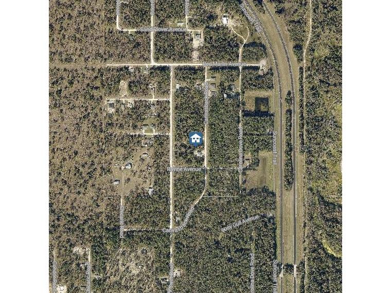 LOT 16 Canvasback Road Weeki Wachee FL 34614 W7883253 image3