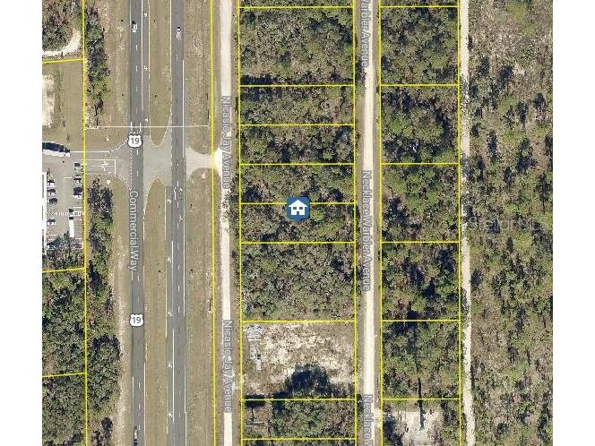 LOT 16 Necklace Warbler Avenue Weeki Wachee FL 34614 W7881611 image1