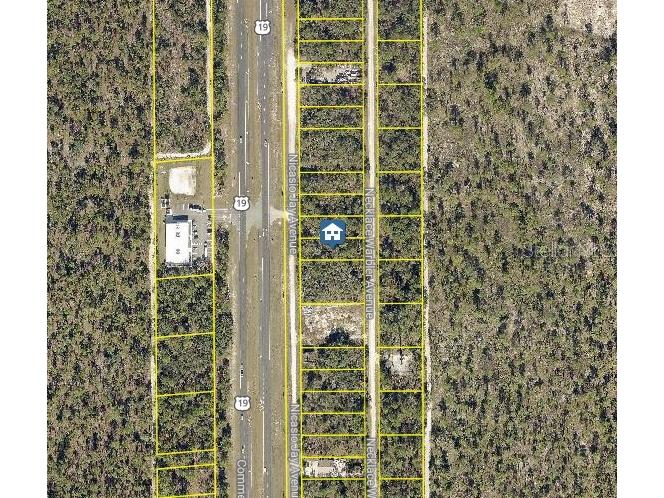 LOT 16 Necklace Warbler Avenue Weeki Wachee FL 34614 W7881611 image2