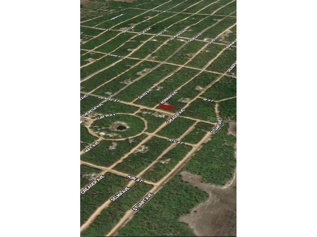 LOT 16 Norman Avenue Interlachen FL 32148 OM710454 image3