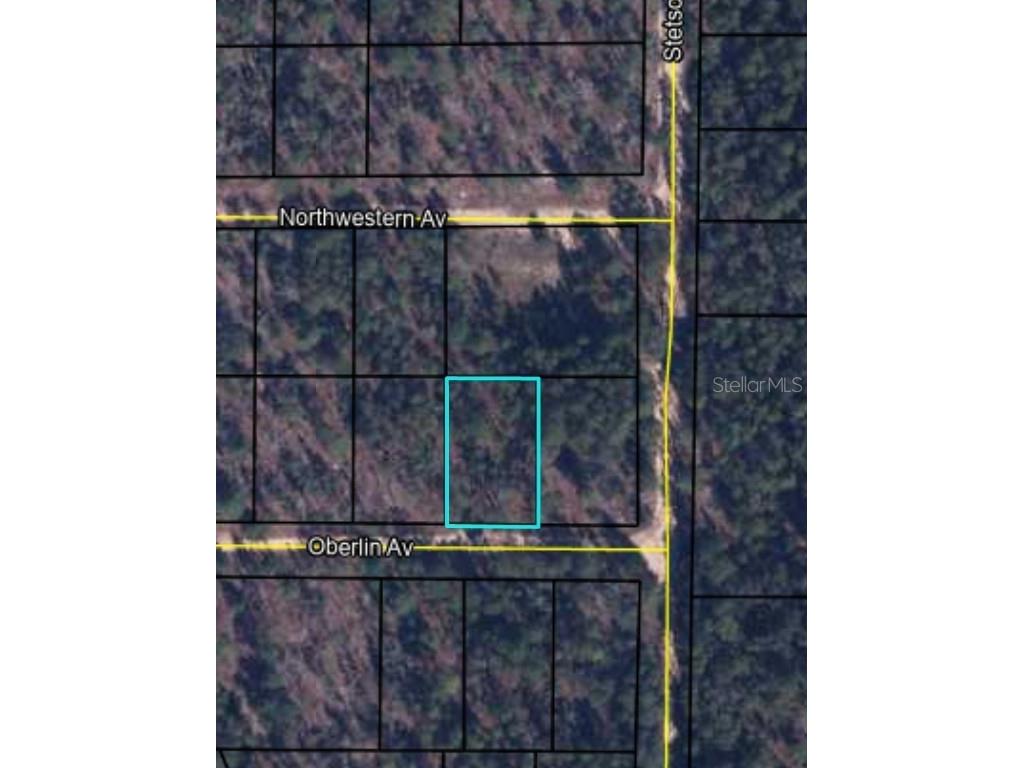 LOT 16 Oberlin Avenue Keystone Heights FL 32656 OM652192 image1