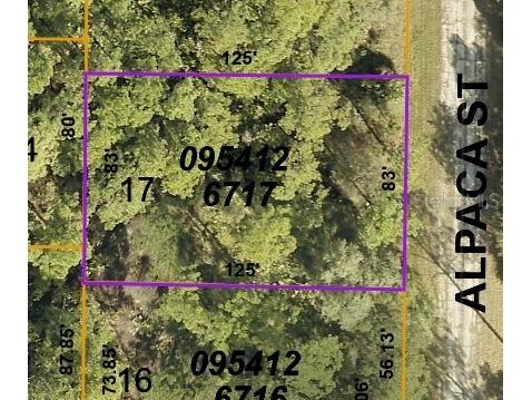 LOT 17 Alpaca Street North Port FL 34291 C7521383 image1