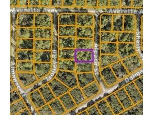 LOT 17 Alpaca Street North Port FL 34291 C7521383 image2